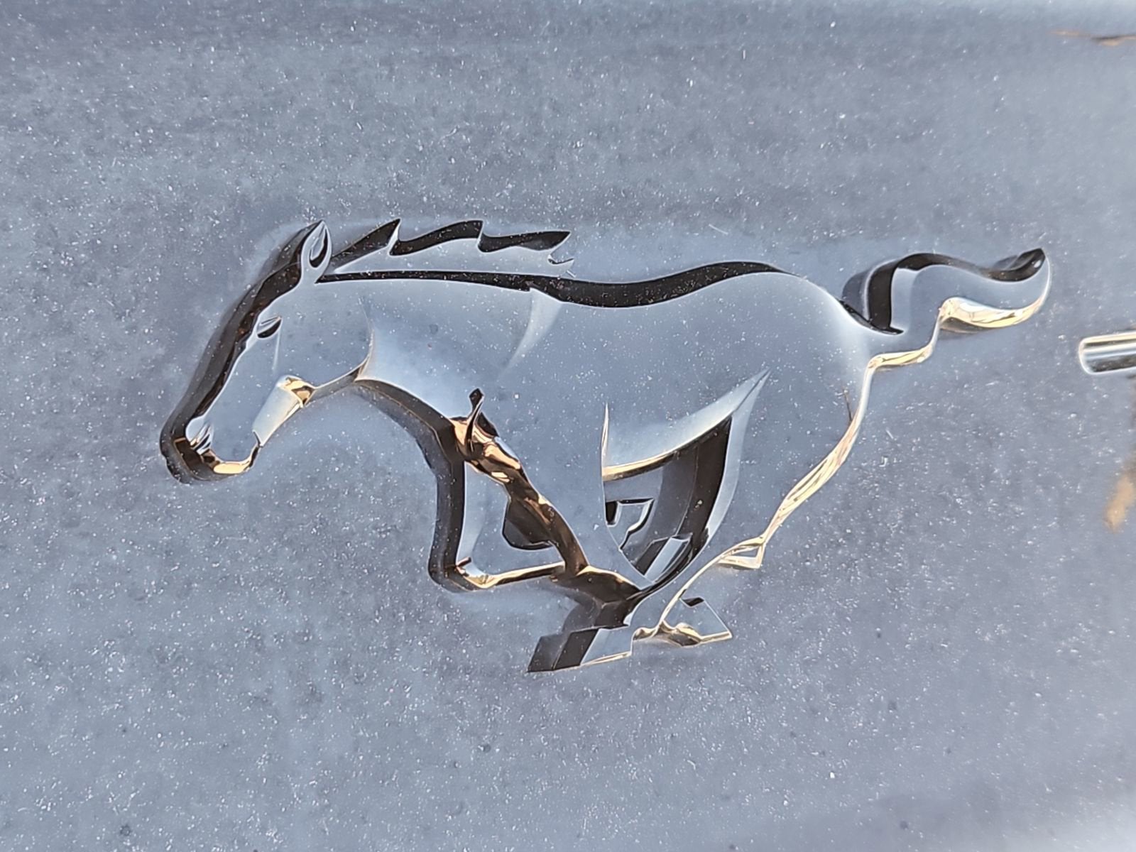 2021 Ford Mustang EcoBoost Fastback